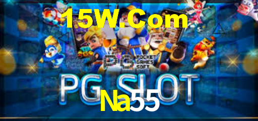 Programa VIP Na55
